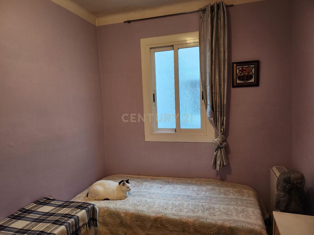  - Image 12