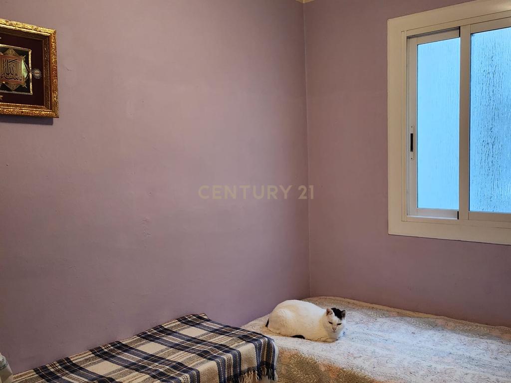  - Image 5