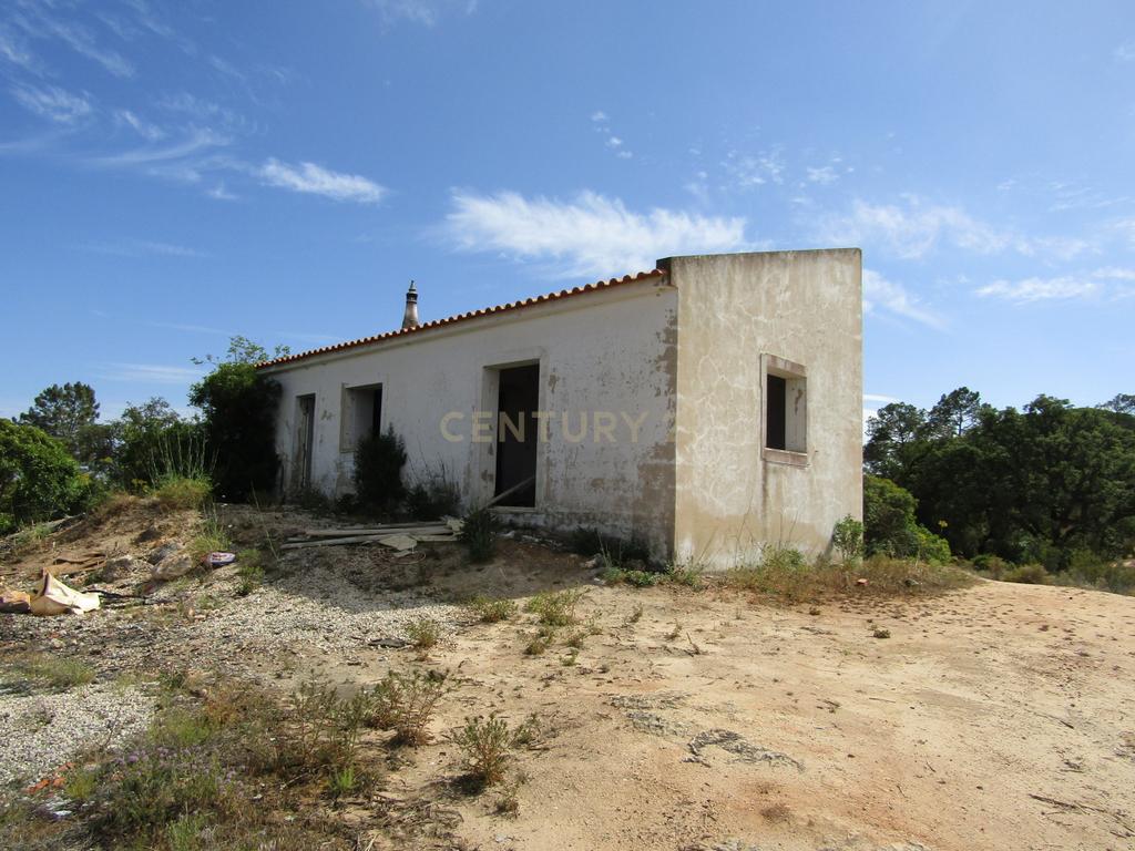 Terreno Misto com 15400m2 - Vales de Pêra - Image 2