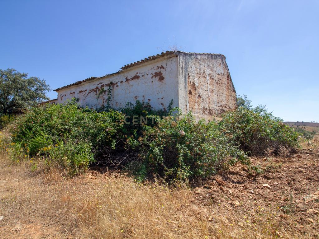Terreno de 22ha com Ruína de 250m² em Alqueva – Oportunidade no Alentejo - Image 4