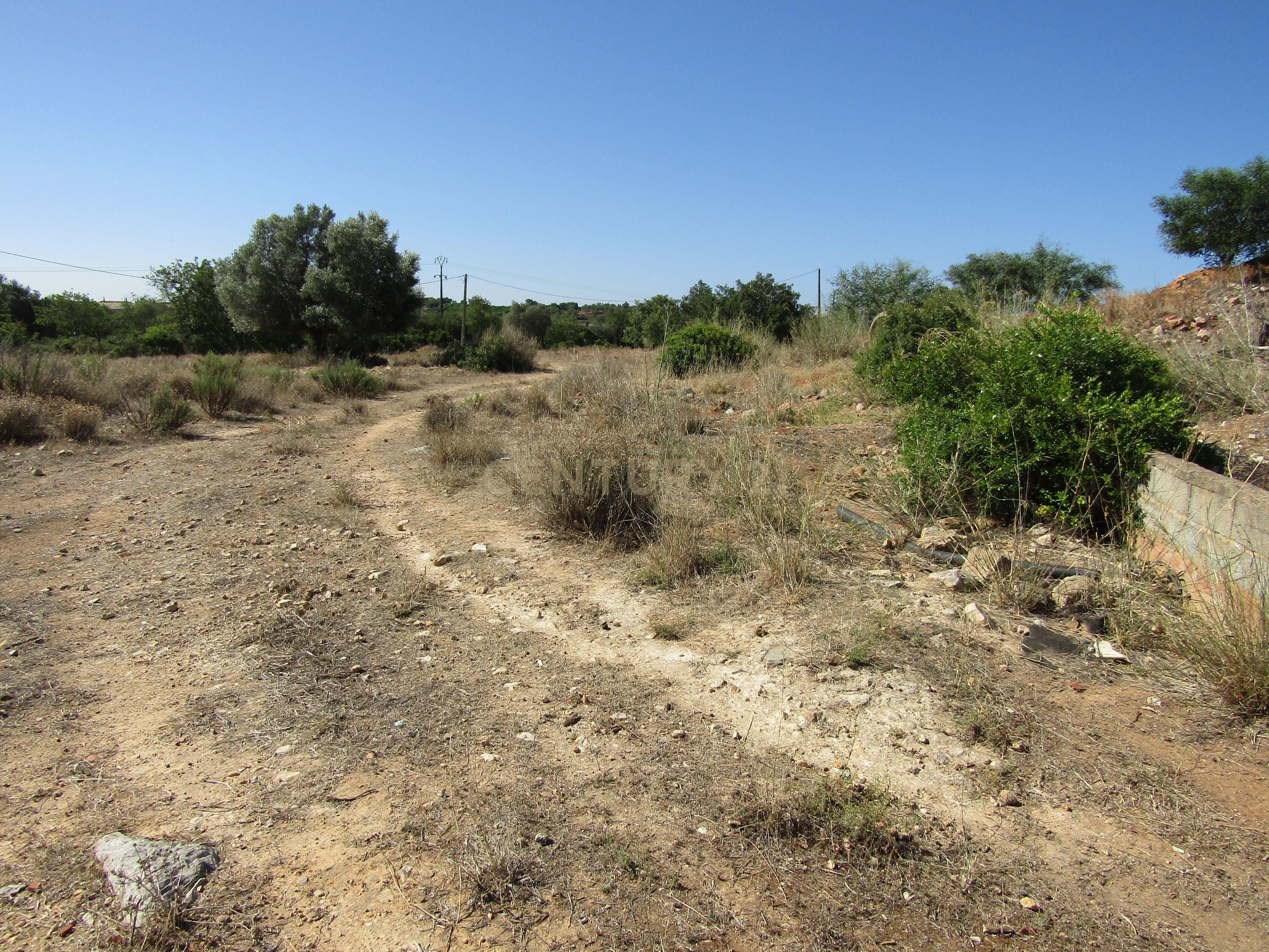 Terreno com 3000m2 - Zona Industrial de Boliqueime - Image 3
