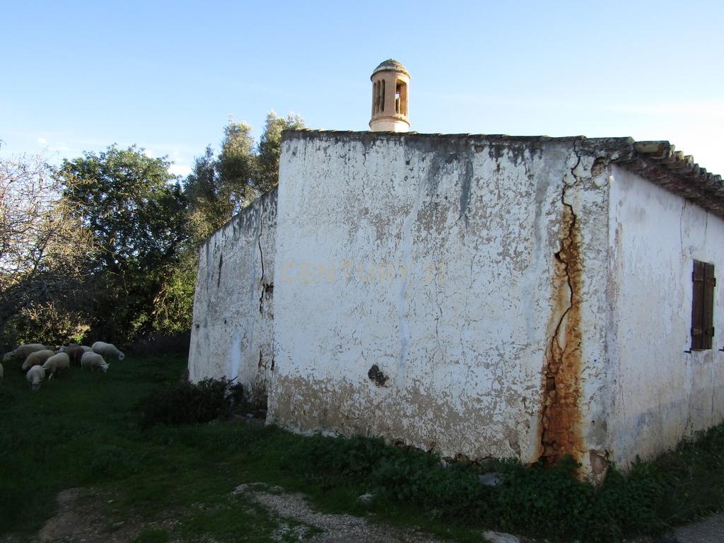 Moradia para restaurar - Image 3