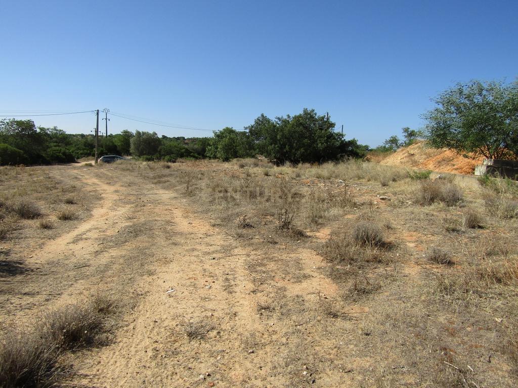 Terreno com 3000m2 - Zona Industrial de Boliqueime - Image 4