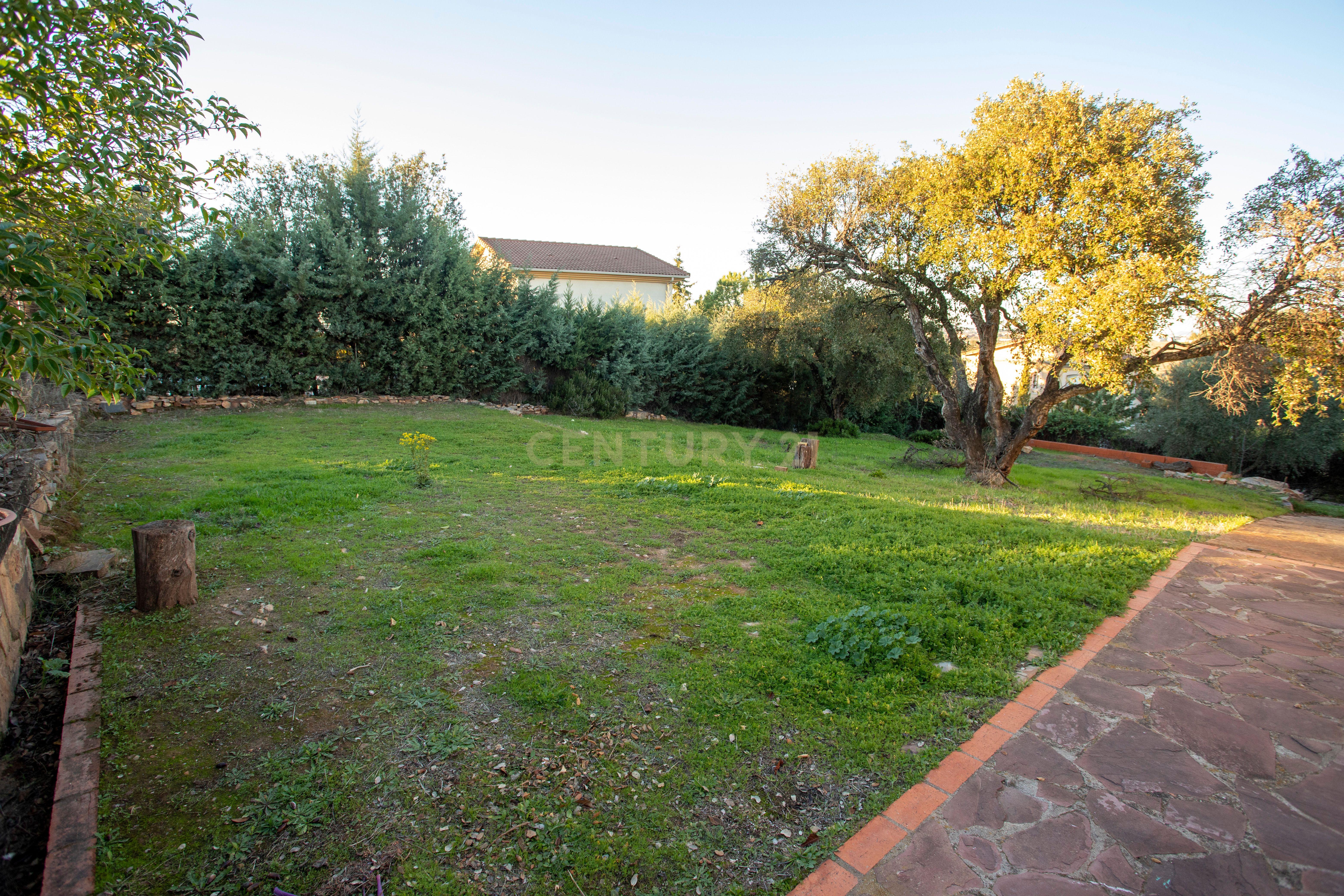 undefined - Image 12