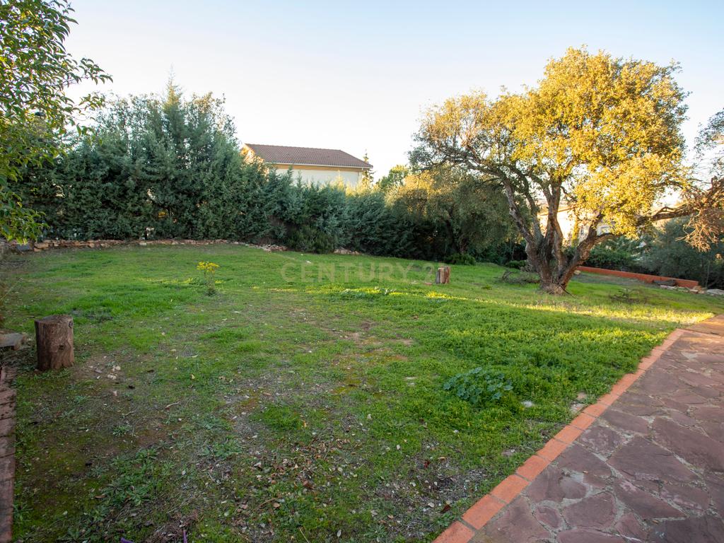 undefined - Image 12