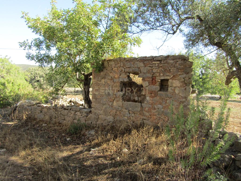 Terreno Misto em S.Brás do Alportel - Image 6
