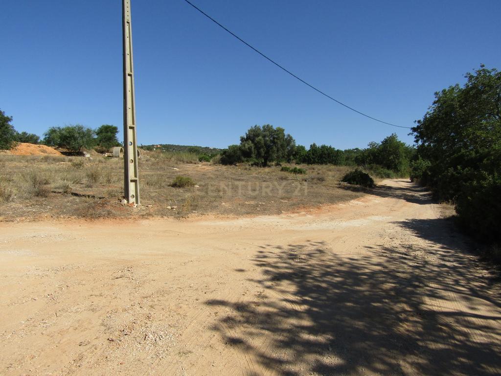 Terreno com 3000m2 - Zona Industrial de Boliqueime - Image 5