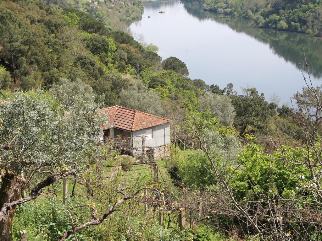 Moradia para restauro com vista rio em Bem Viver, Marco de Canaveses - Image 2