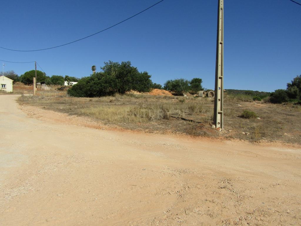 Terreno com 3000m2 - Zona Industrial de Boliqueime - Image 6
