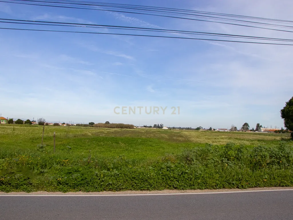 Terreno 5000m2 Urbanizável em Lagameças - Image 18