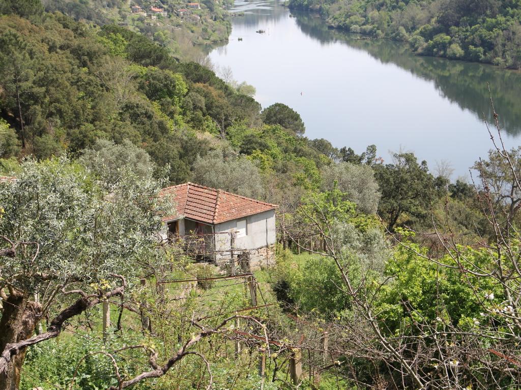 Moradia para restauro com vista rio em Bem Viver, Marco de Canaveses - Image 7