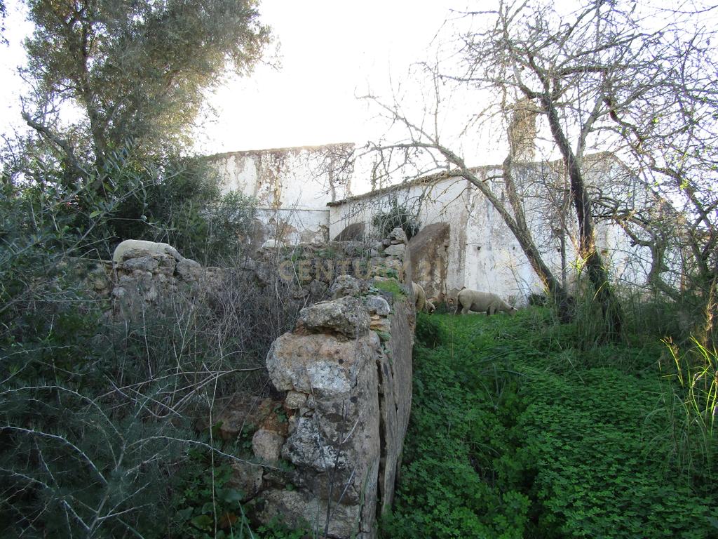 Moradia para restaurar - Image 6