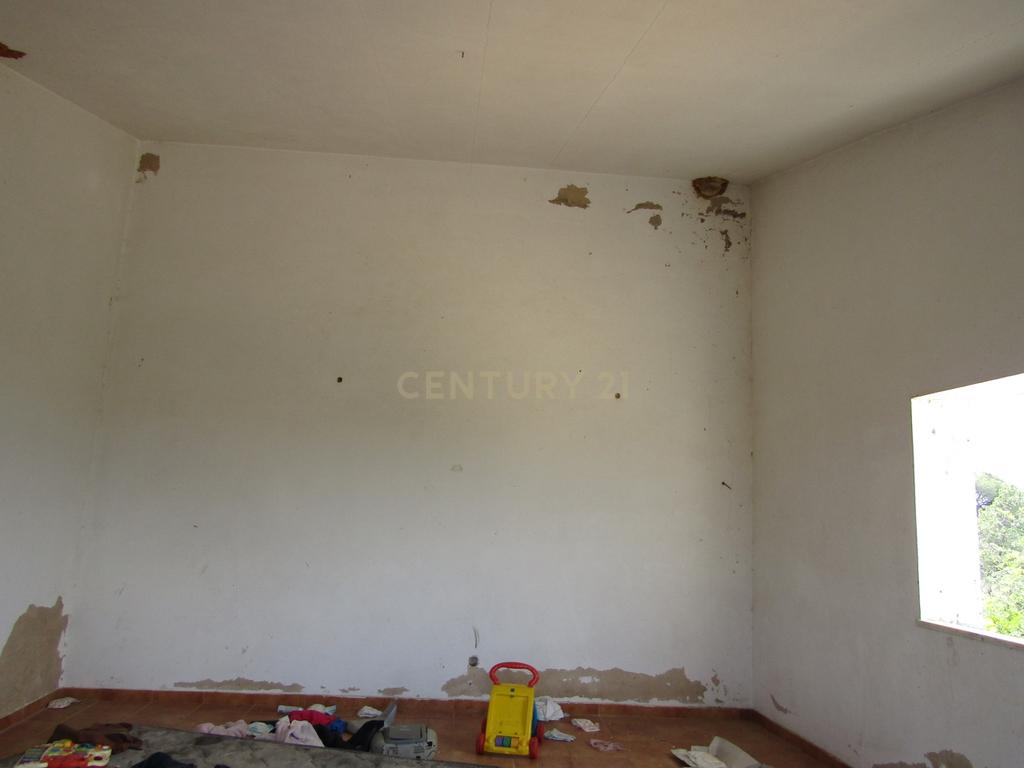 Terreno Misto com 15400m2 - Vales de Pêra - Image 6
