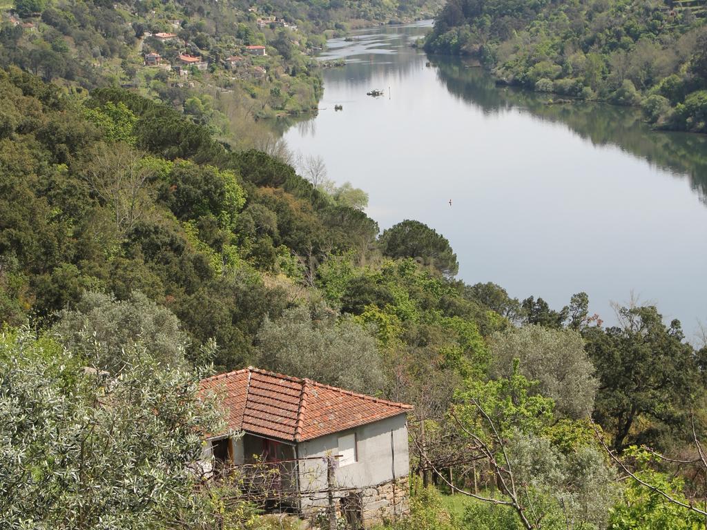 Moradia para restauro com vista rio em Bem Viver, Marco de Canaveses - Image 8