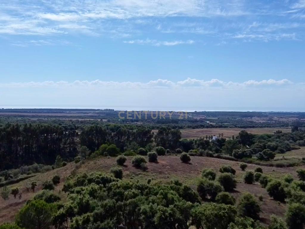 Terreno em São Teotónio com 77.000 m2 e possibilidade de projecto turístico! - Image 17
