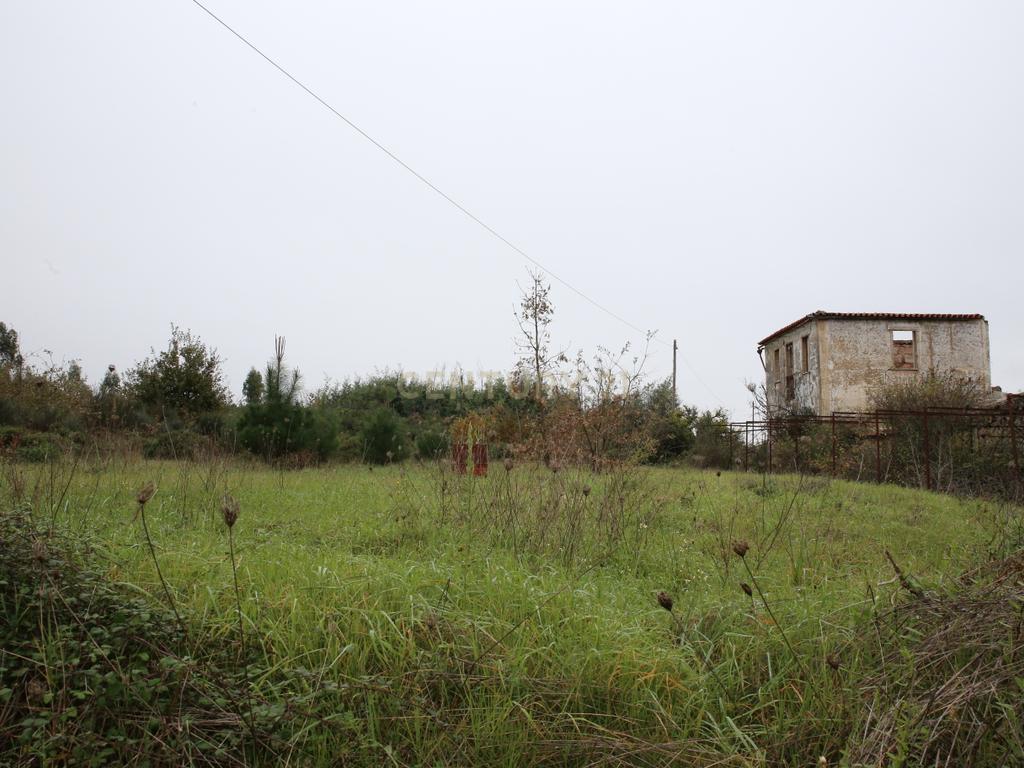 Quinta em Oliveira do Hospital, com 60000 m2 com casas para recuperar. - Image 69