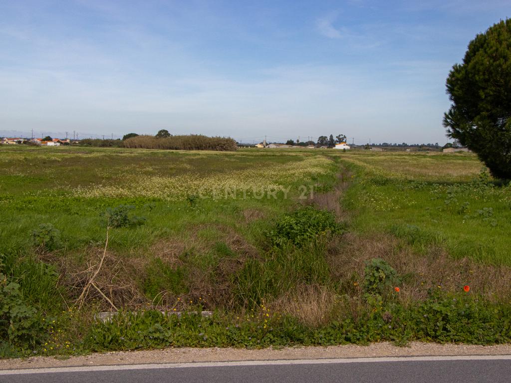 Terreno 5000m2 Urbanizável em Lagameças - Image 17