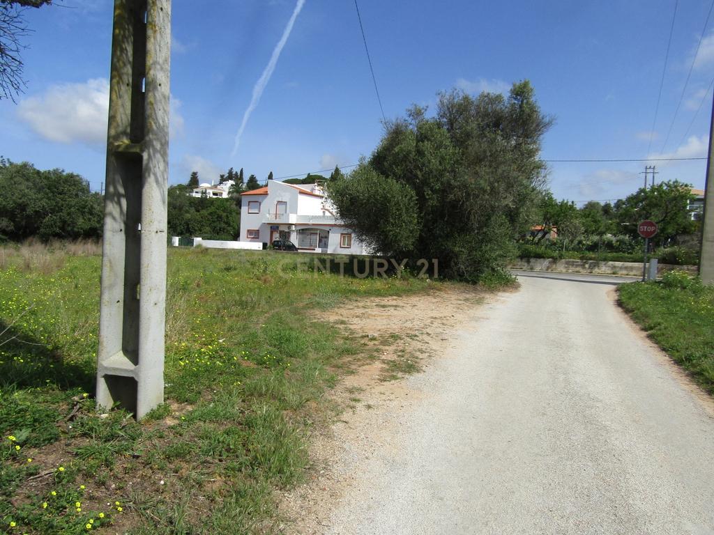Terreno Rústico - Image 8