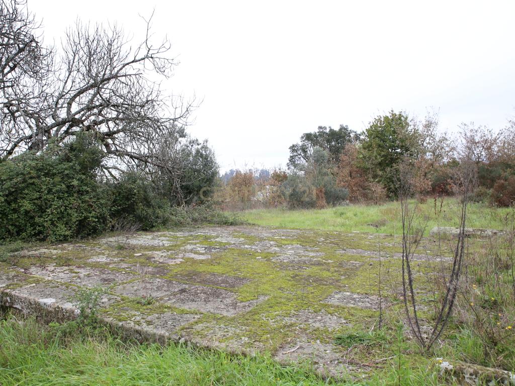 Quinta em Oliveira do Hospital, com 60000 m2 com casas para recuperar. - Image 70