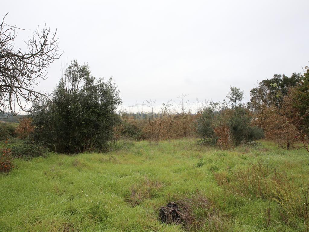 Quinta em Oliveira do Hospital, com 60000 m2 com casas para recuperar. - Image 71