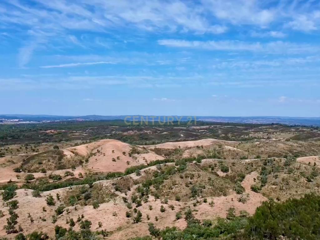 Terreno em São Teotónio com 77.000 m2 e possibilidade de projecto turístico! - Image 15
