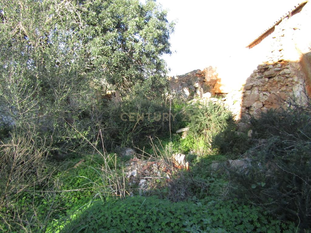 Moradia para reconstruir - Image 3