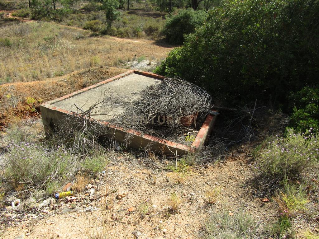 Terreno Misto com 15400m2 - Vales de Pêra - Image 9
