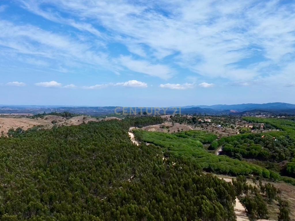 Terreno em São Teotónio com 77.000 m2 e possibilidade de projecto turístico! - Image 14