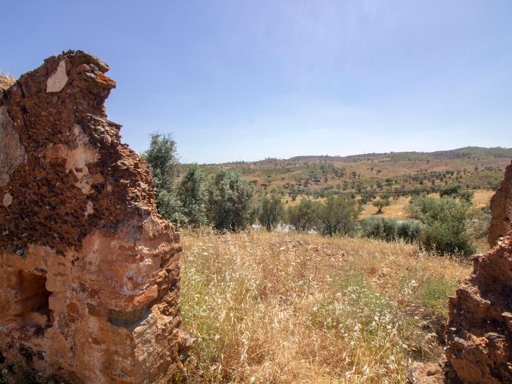 Terreno de 22ha com Ruína de 250m² em Alqueva – Oportunidade no Alentejo - Image 9