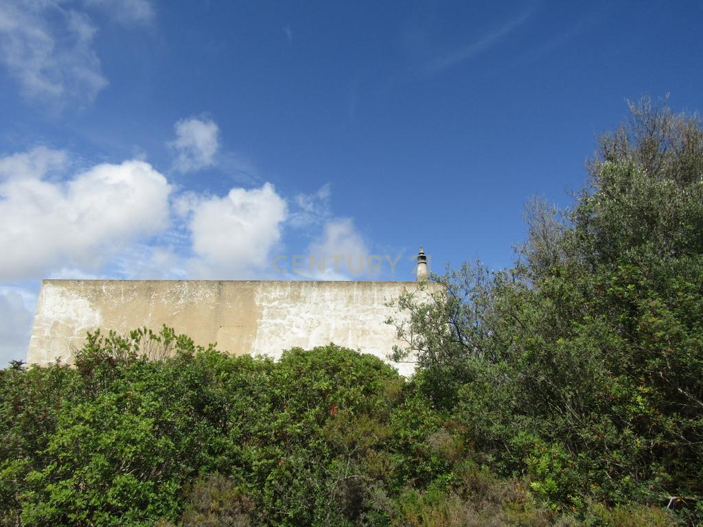 Terreno Misto com 15400m2 - Vales de Pêra - Image 10