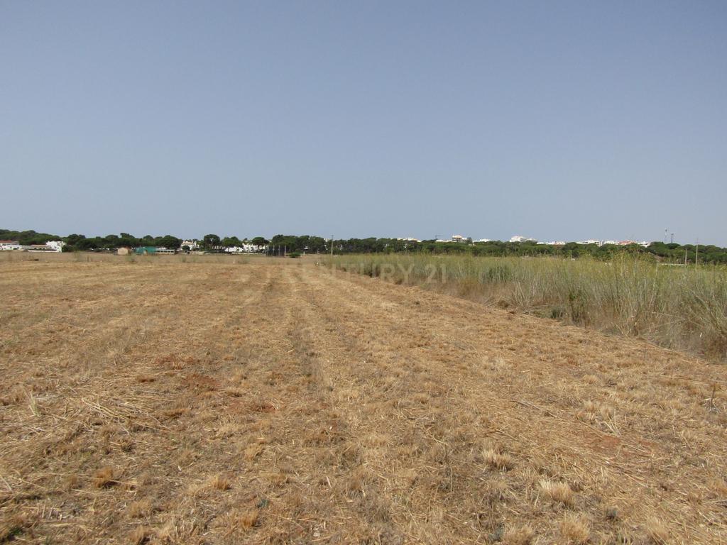Terreno Rústico com 3040 m2, plano, situado nas Várzeas de Quarteira - Image 1