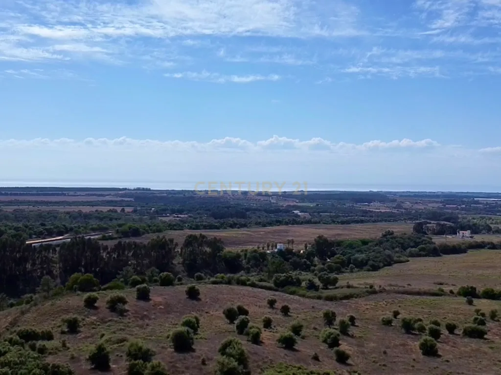 Terreno em São Teotónio com 77.000 m2 e possibilidade de projecto turístico! - Image 13
