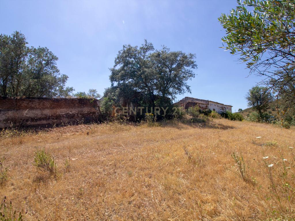 Terreno de 22ha com Ruína de 250m² em Alqueva – Oportunidade no Alentejo - Image 8