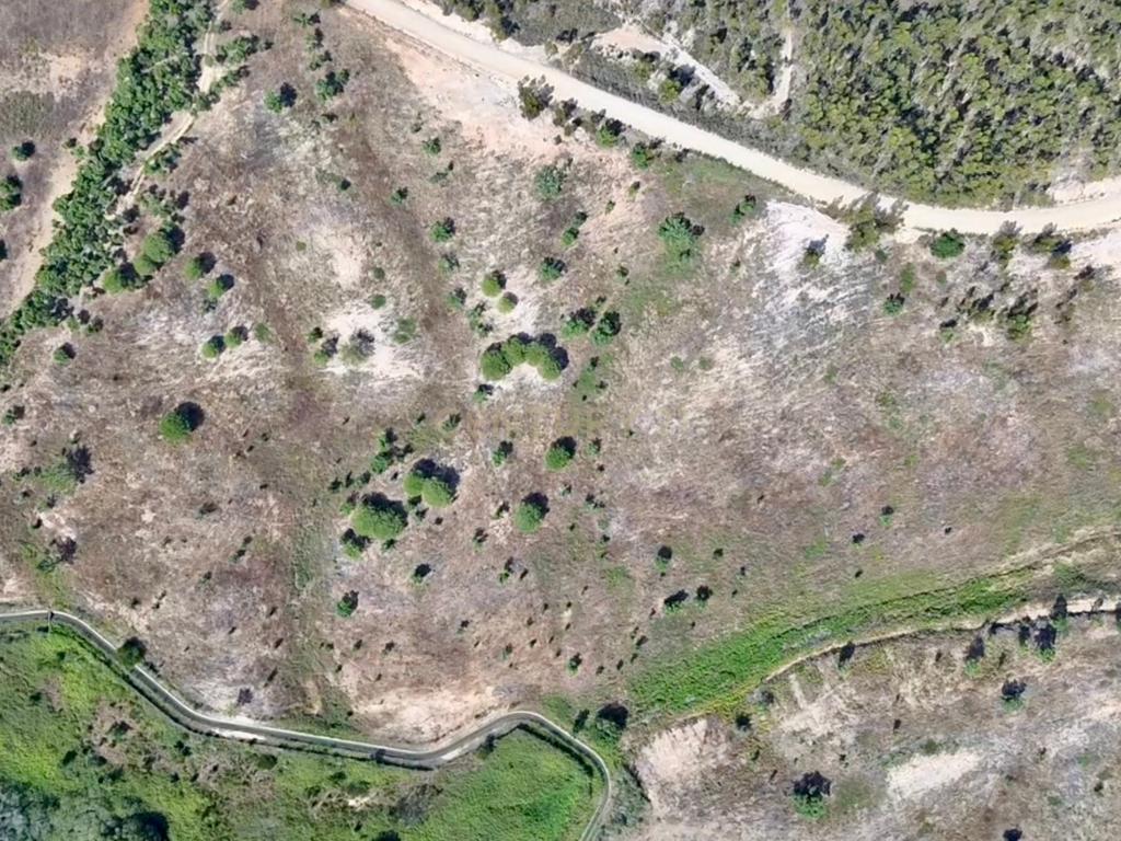 Terreno em São Teotónio com 77.000 m2 e possibilidade de projecto turístico! - Image 6