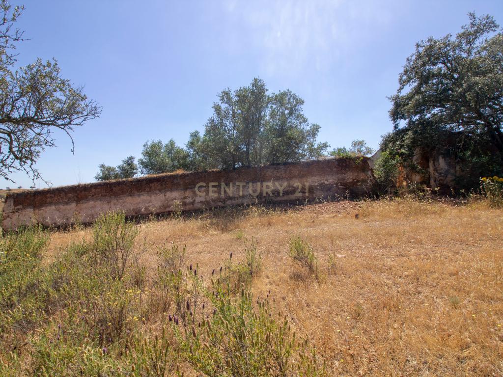 Terreno de 22ha com Ruína de 250m² em Alqueva – Oportunidade no Alentejo - Image 11