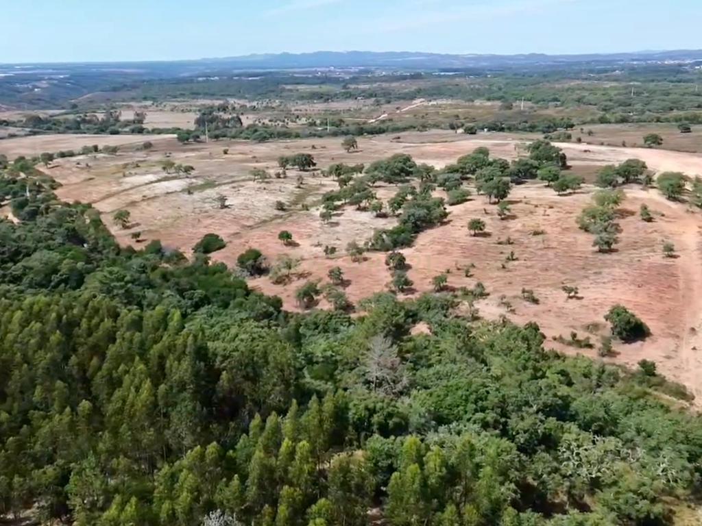 Terreno em São Teotónio com 77.000 m2 e possibilidade de projecto turístico! - Image 11