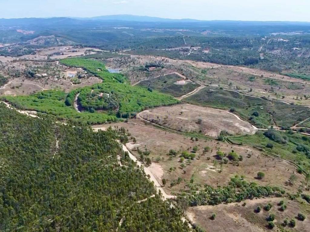 Terreno em São Teotónio com 77.000 m2 e possibilidade de projecto turístico! - Image 4