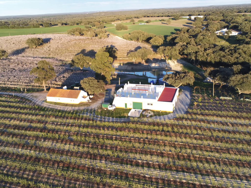Quinta com 14,9 Hectares em Foros de Vale de Figueira , concelho de Montemor-o-Novo, distrito de Évora - Image 4