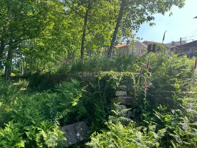 Terreno Rústico à Venda em Perozelo, Penafiel – Perfeito para Moradia - Image 5