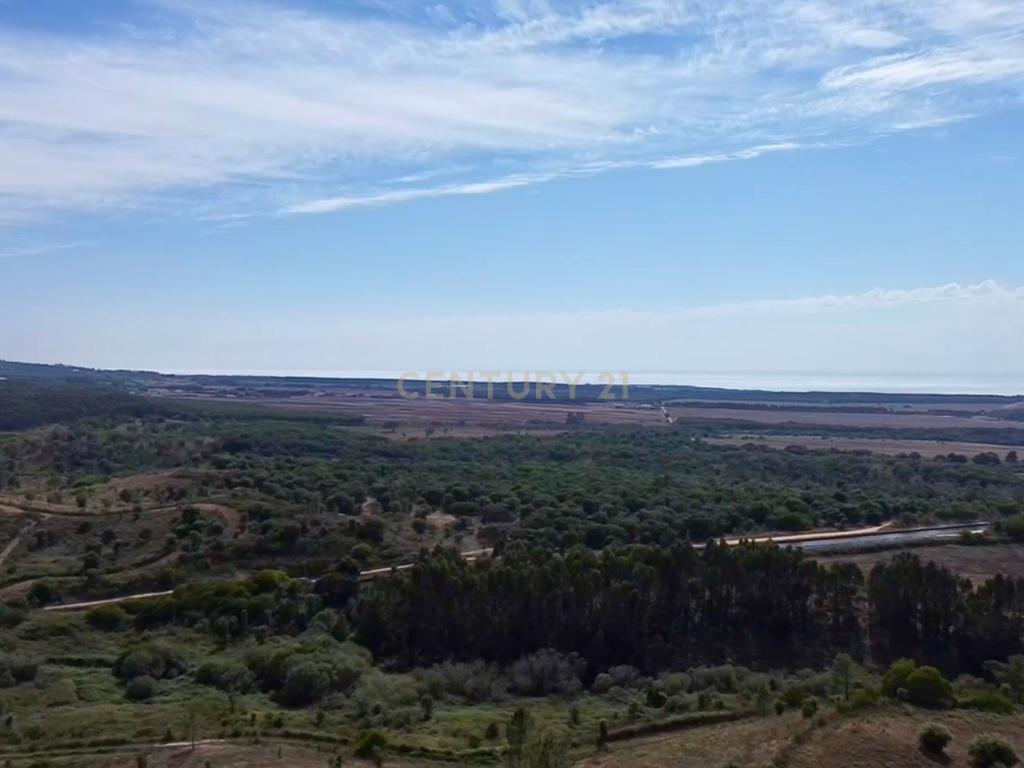Terreno em São Teotónio com 77.000 m2 e possibilidade de projecto turístico! - Image 10
