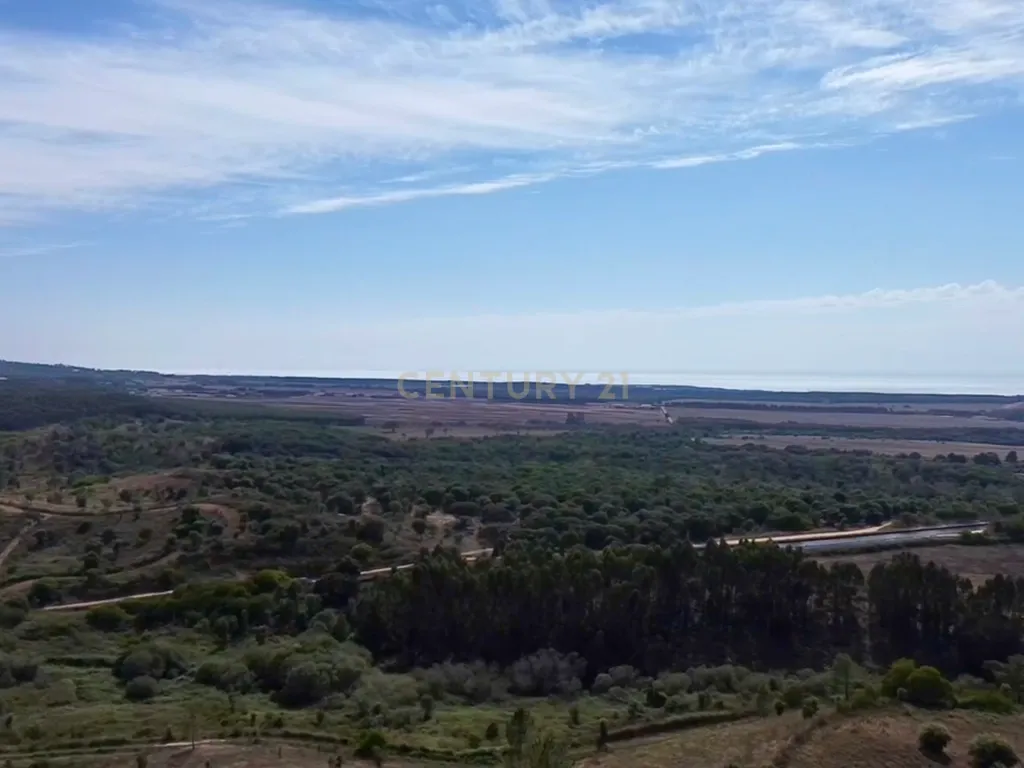 Terreno em São Teotónio com 77.000 m2 e possibilidade de projecto turístico! - Image 10