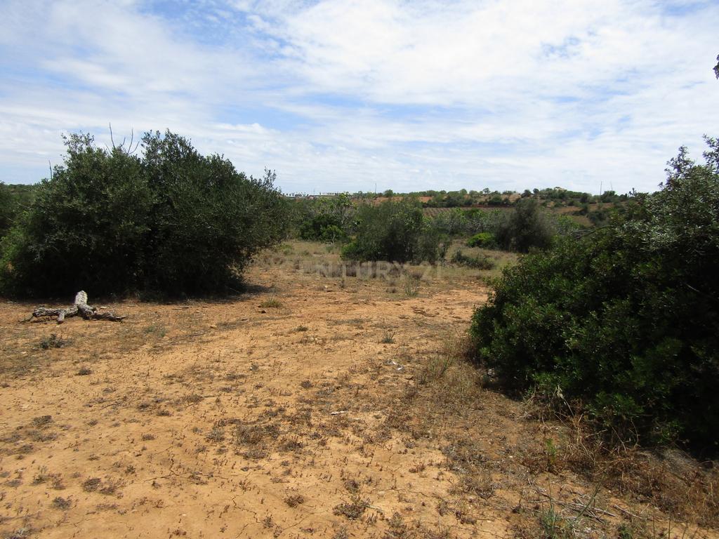 Terreno Rústico - Image 2