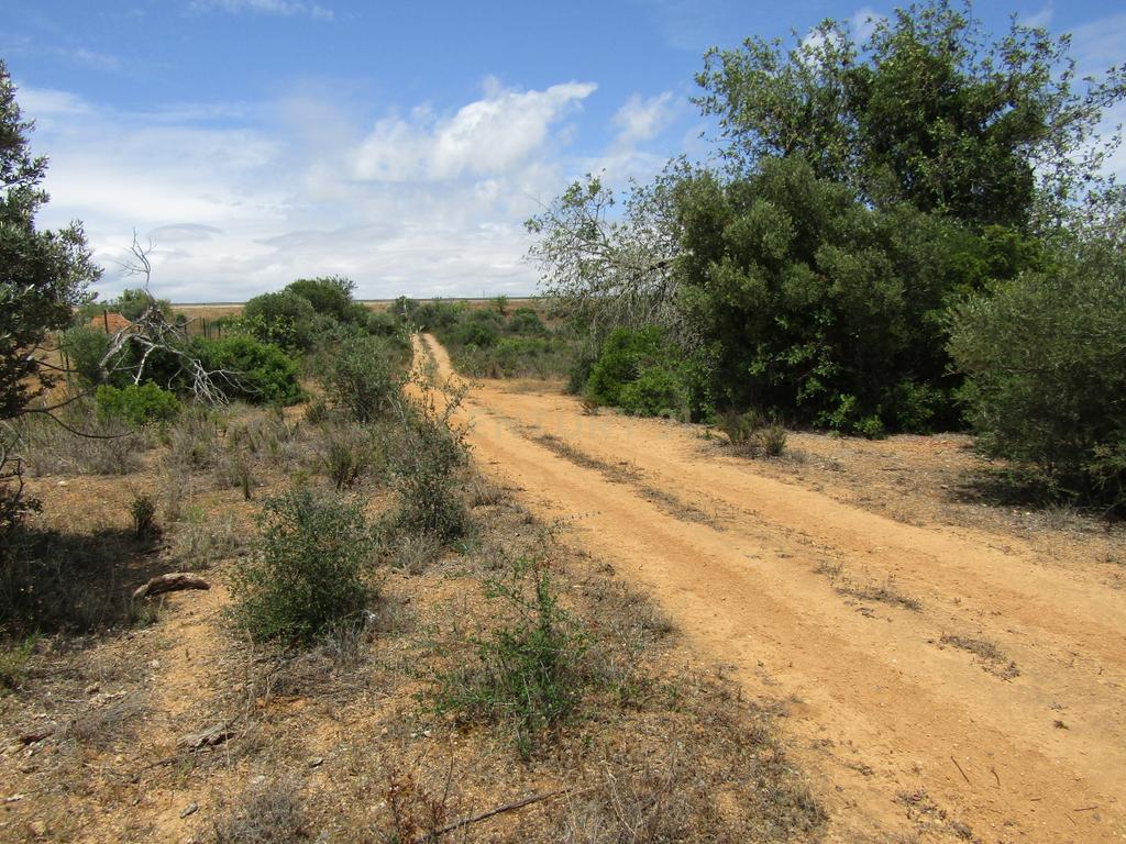 Terreno Rústico - Image 3