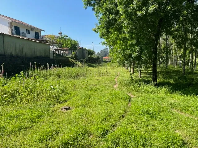 Terreno Rústico à Venda em Perozelo, Penafiel – Perfeito para Moradia - Image 13