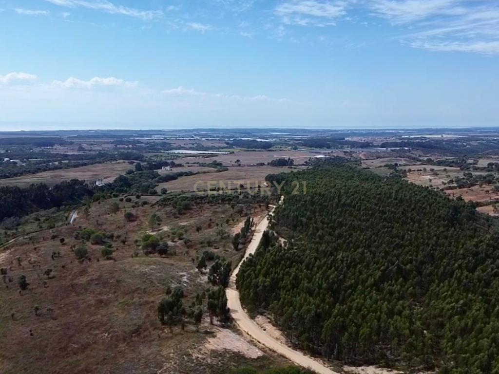 Terreno em São Teotónio com 77.000 m2 e possibilidade de projecto turístico! - Image 18