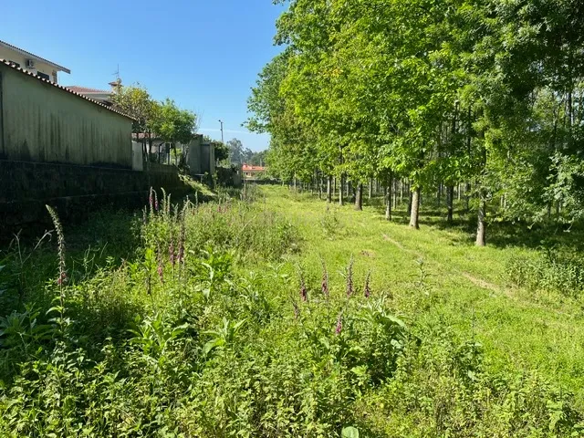 Terreno Rústico à Venda em Perozelo, Penafiel – Perfeito para Moradia - Image 14