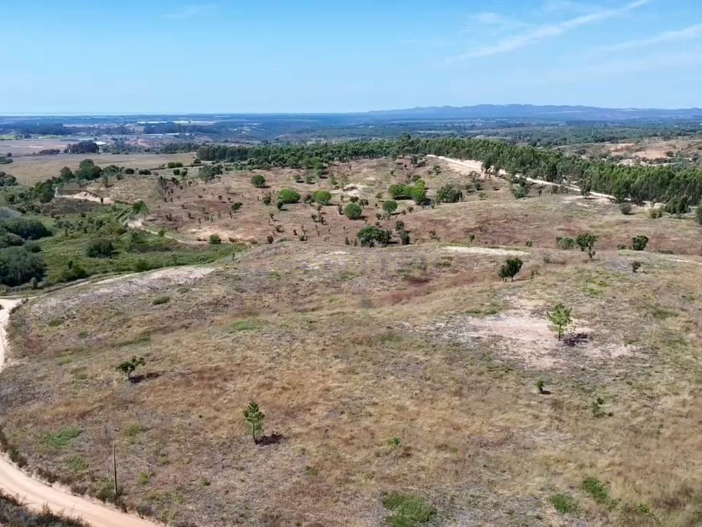 Terreno em São Teotónio com 77.000 m2 e possibilidade de projecto turístico! - Image 5