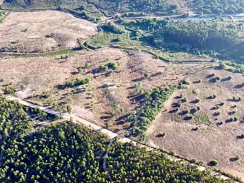 Terreno em São Teotónio com 77.000 m2 e possibilidade de projecto turístico! - Image 2