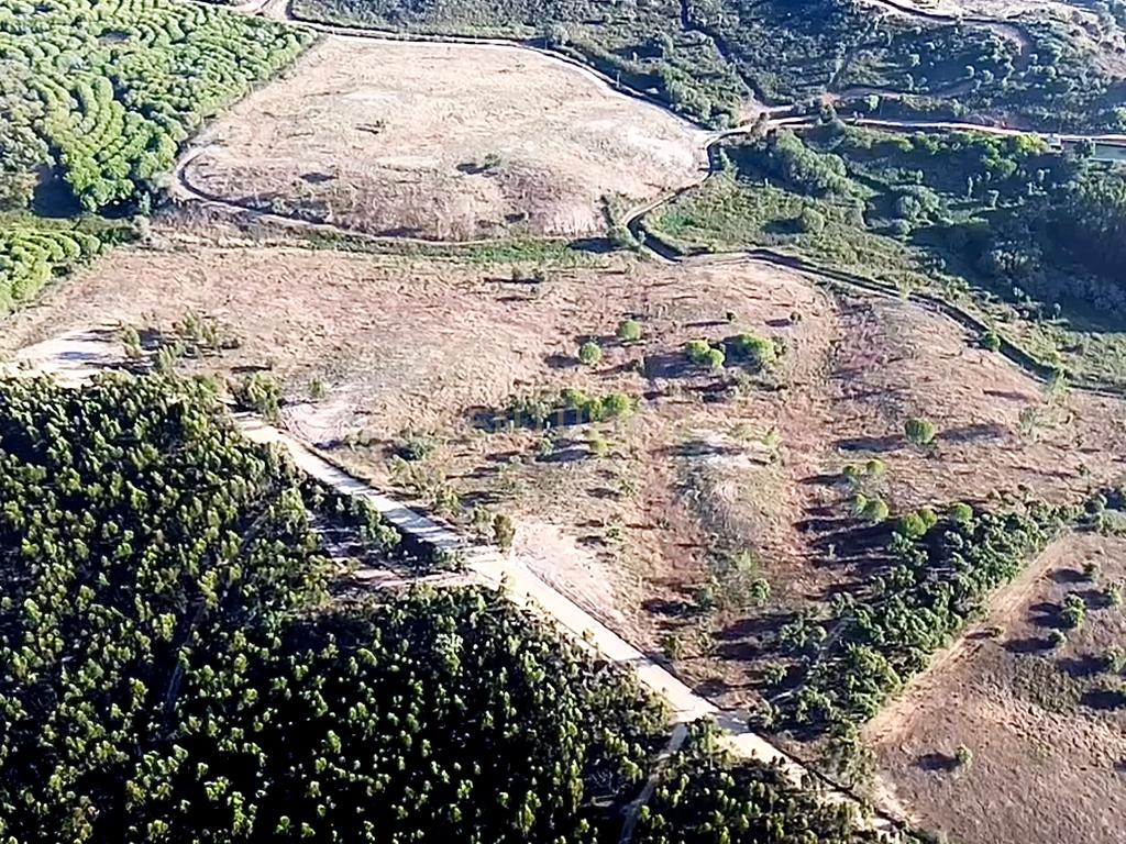 Terreno em São Teotónio com 77.000 m2 e possibilidade de projecto turístico! - Image 3