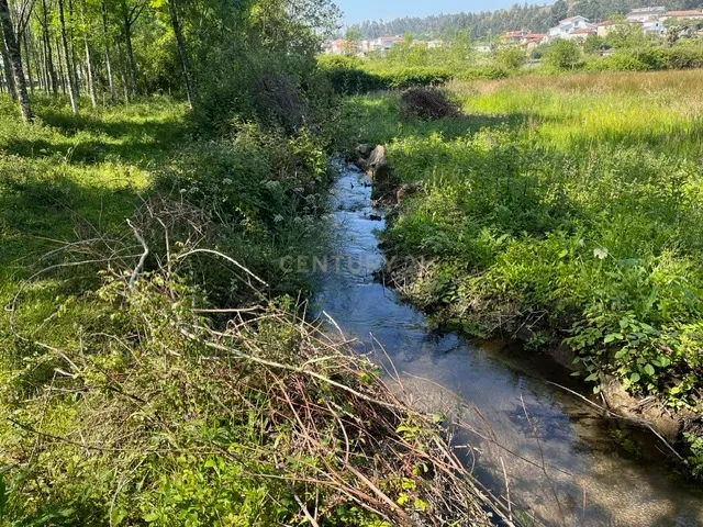Terreno Rústico à Venda em Perozelo, Penafiel – Perfeito para Moradia - Image 18